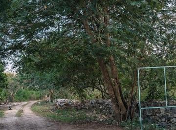 1 · Terreno de 988 m² en Venta en Conkal