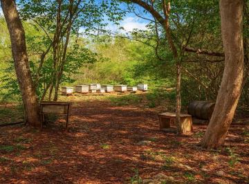 1 · Terreno de 444 Hectáreas en Venta en Muna