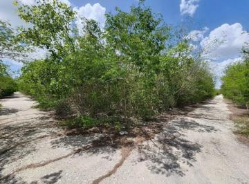 1 · Terreno de 1 Hectárea en Venta, Kikteil, Mérida, Yucatán