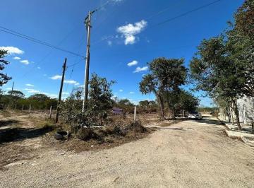 1 · Terreno en Esquina de 743.46 m² en Venta en Dzitya