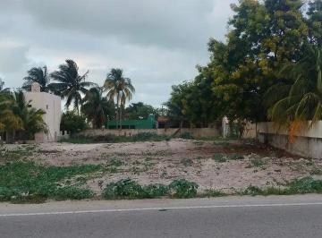 1 · Terreno de 1,214 m² en Venta Sobre Carretera Costera de Telchac Puerto