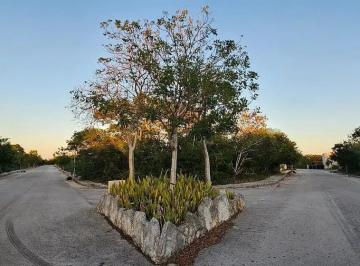 1 · Terreno de 733 m² en Venta en Residencial Dzidzil - Há