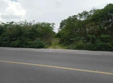 1 · Terreno de 297 Hectáreas Carretera Tetiz - Celestún