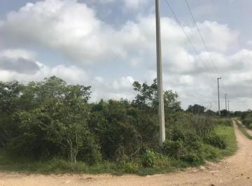 1 · Terreno de 2,888 m² en Venta en Quintas Cholul