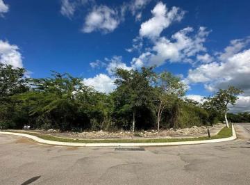 1 · Terreno de 741.67 m² en Venta en Privada El Cortijo, Zona Country