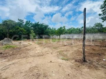 Terreno / Lote · 1666m² · Terreno Calle Chapultepec Uso Suelo Mixto de Barrio