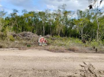 Terreno / Lote , Progreso · ¡Oportunidad Única de Inversión en San Ignacio, Progreso, Yucatán!