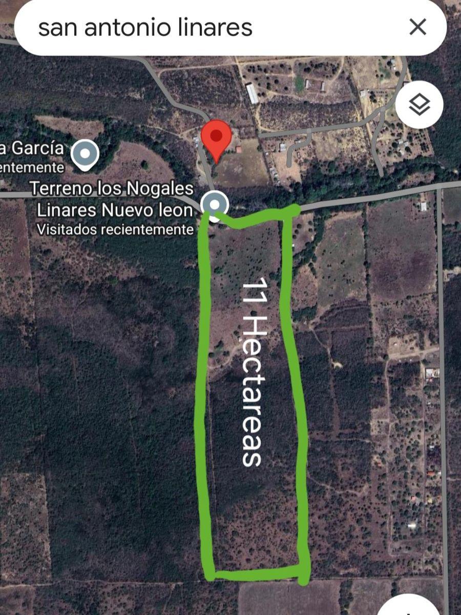 Terreno en Venta en Linares, Nuevo León