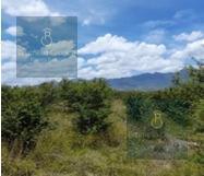 Terreno / Lote · Terreno en Tlacolula de Matamoros