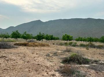 Terreno / Lote · 1000m² · Nba Terrenos Campestres en Ramos Arizpe en Coahuila