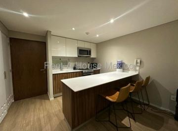Departamento de 1 habitación, Miguel Hidalgo · Departamento en Renta en Anáhuac, Parques Plaza Ahb26 - 3262