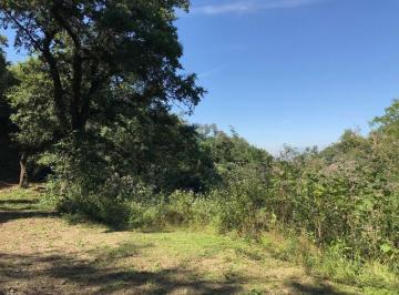 Terreno / Lote · 8200m² · Terreno en Venta Colonia La Cieneguilla Carretera Nacional Santiago