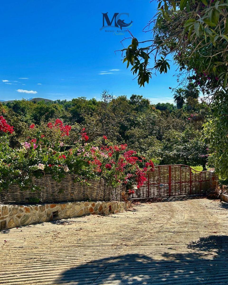 Huerta Oasis, Todos Santos, Bcs.