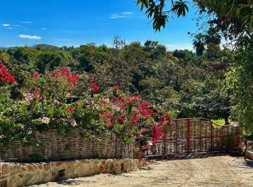 Huerta , La Paz · Huerta Oasis, Todos Santos, Bcs.