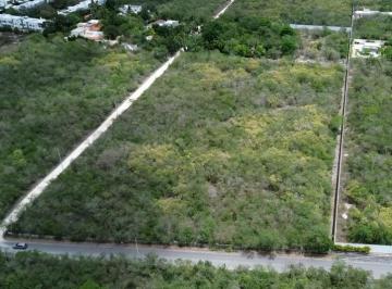 Terreno / Lote · 17666m² · Amplio Terreno Sobre Esquina en Venta en Mérida, Muy Cerca de Carretera Mérida - Progreso