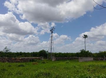 Rancho de 2 habitaciones, Tizimín · Rancho Las Yeguas en Venta