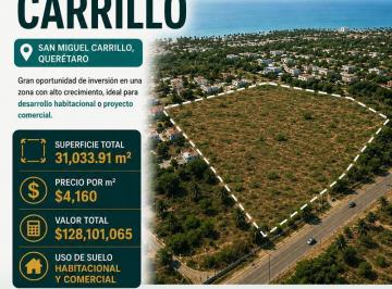 Terreno / Lote · Venta de Macrolote San Miguel Carrillo