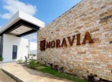 Terreno / Lote · 351m² · Terreno en Venta en Temozón Moravia Residencial