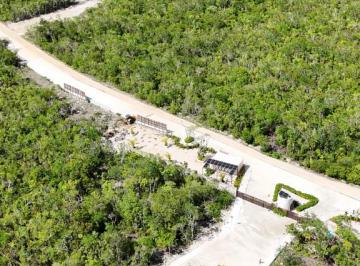 Terreno / Lote , Tulum · Terreno Residencial en Tulum