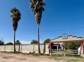 Quinta de 2 habitaciones, Torreón · Venta - Quinta Torreon Coah, Cerca del Tsm, 4954 m² de Terreno