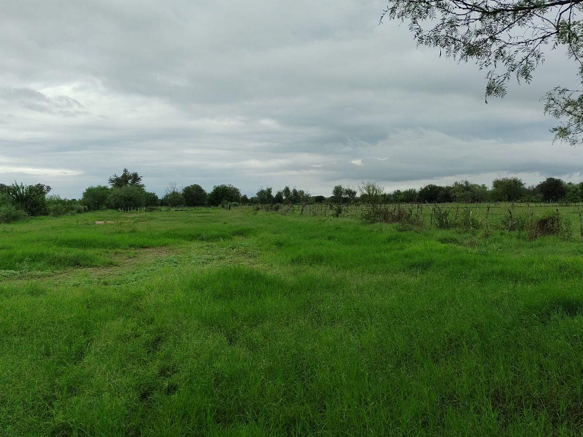 6 Ha de Terreno en Venta en La Arena Pesqueria
