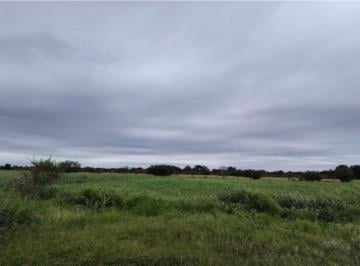 Terreno / Lote , Pesquería · Terreno en Venta La Arena Pesqueria