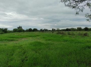 Terreno / Lote , Pesquería · Terreno en Venta La Arena Pesqueria