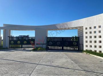 N/A · ¡Terreno en Venta en Las Abas II con Excelente Ubicación y Gran Plusvalía en Mazatlán!