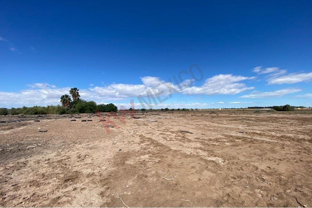 Opportunity! 4-Hectare Plot in Islas Agrarias B, Fully Deeded and with Electricity Service