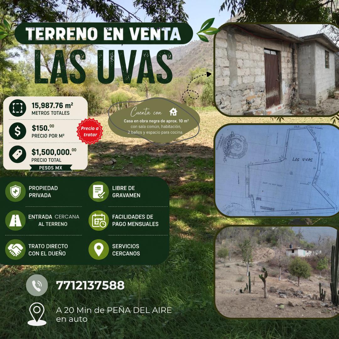Land for Sale "Las Uvas"