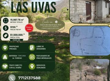 Terreno / Lote de 1 habitación, Huasca de Ocampo · Terreno en Venta "Las Uvas"