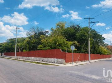 Terreno / Lote · 20m² · Terreno de 4,200 m² en Esquina Sobre Calle Principal en Conkal Alta Plusvalìa