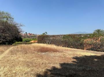 Terreno / Lote · 2925m² · Terreno en Calzada de Los Reyes