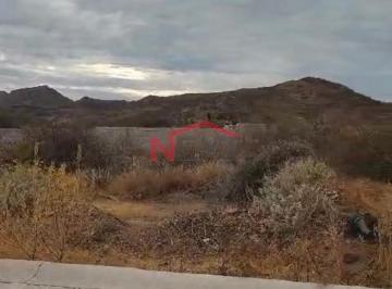 Foto principal · Venta de Lote en Fraccionamiento El Pedregal