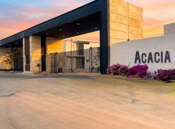 Casa de 3 habitaciones, Arteaga · Casa en Renta en Privanzas