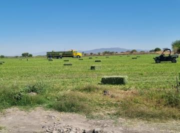 Terreno / Lote , Celaya · Terreno 10 Ha Cerca de Honda y del Nuevo Puerto Interior
