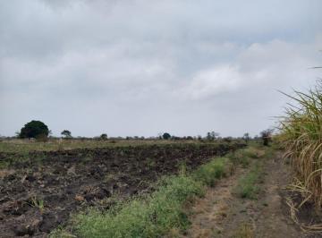 Rancho de 1 habitación, Camarón de Tejeda · 30 Ha en Camaron de Tejeda, Veracruz.