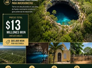 Rancho , Tizimín · Rancho en Venta con 11 Cenotes