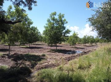 Rancho · 25771m² · Rancho Nogalero en Venta en Durango