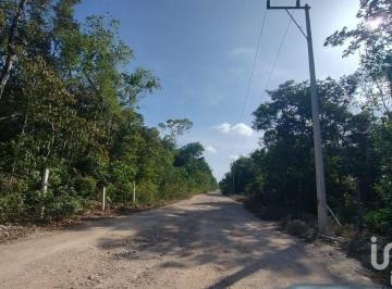 Terreno / Lote · 1250m² · Lote Residencial en Venta, Region 8 Tulum