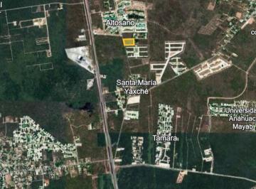 Terreno / Lote · 17666m² · Terreno en Venta en Mérida a 500 m de La Carretera Mérida, Progreso