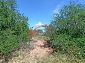 Foto principal · Terreno en Venta Real del Alamito