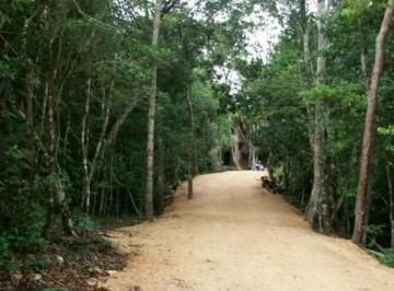 1 · Terreno en Venta en Tulúm - Tr203