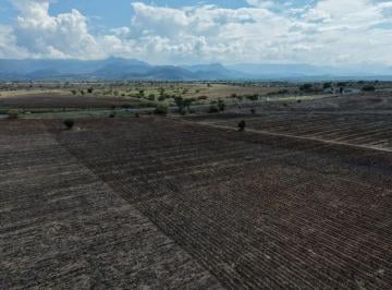 Terreno / Lote , Amacuzac · Macrolote en Venta Frente a Jardines de Mexico