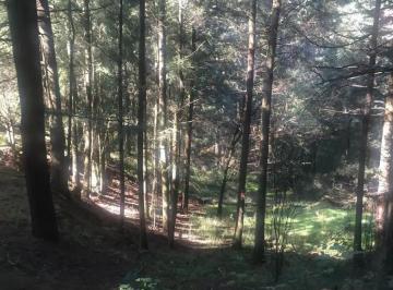1 · Terreno en Venta en Santa Maria Mazatla Jilotzingo