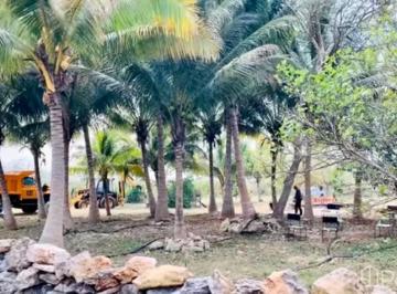 Rancho · 40ha · 1 Recámara · 10 Estacionamientos · Rancho de 11.37 Hectáreas en Yobain