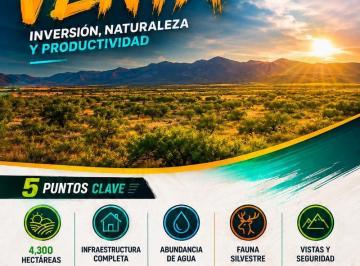 Rancho · 43000000ha · 2 Recámaras · Mega Rancho en Venta. Monclova, Coahuila (4,300 Ha)