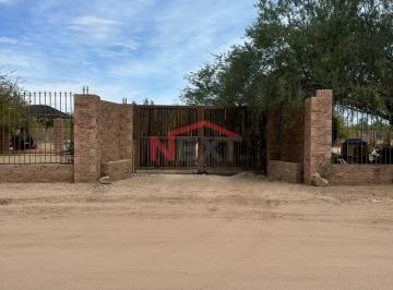 Foto principal · Terreno Campestre en Venta en Real del Alamito