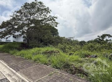 Terreno / Lote · 601m² · Terreno en Venta en Fraccionamiento Bosque de Niebla