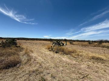 imagenPortal · Terreno / Lote en Venta en Ejido Jaltomate